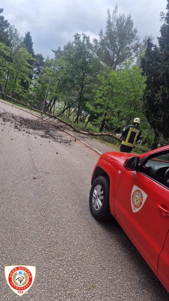 Veliko stablo palo na cestu kod mrtvačnice u Mostaru, uklonili ga vatrogasci