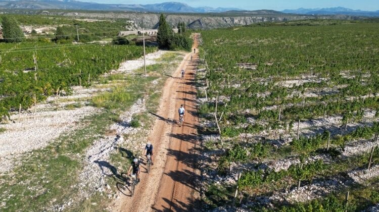 Biciklistička tura kroz broćanske vinograde ponovno privukla veliki broj sudionika