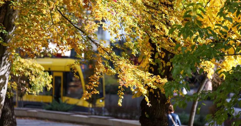 Sutra sunčano, najviša dnevna temperatura između 18 i 24 stupnja