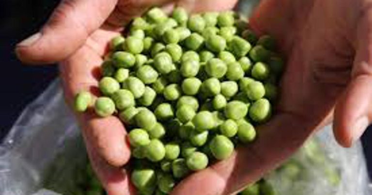 Kako zgusnuti grašak bez zaprške? Samo dodajte jednu žlicu ovoga i uvijek će ispasti savršen