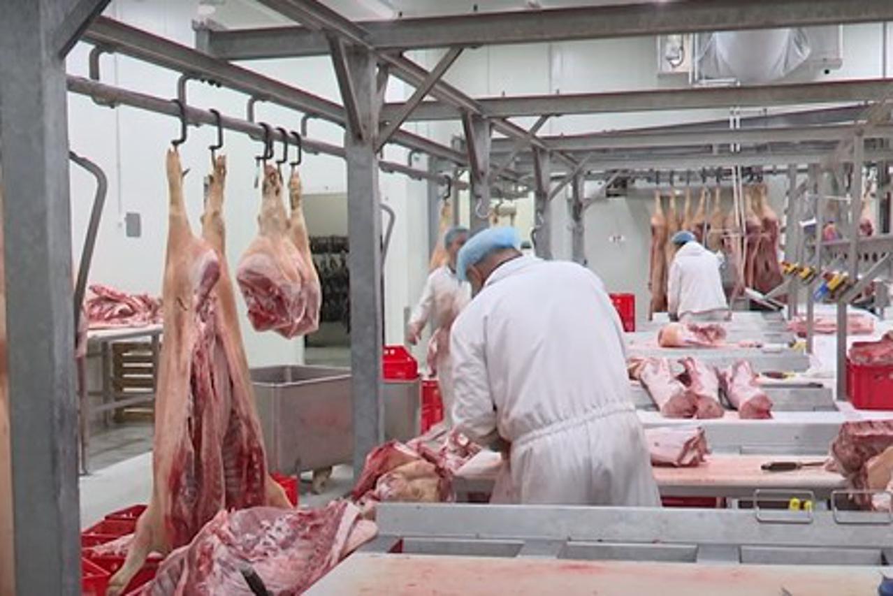 Rakitno - svinjokolja