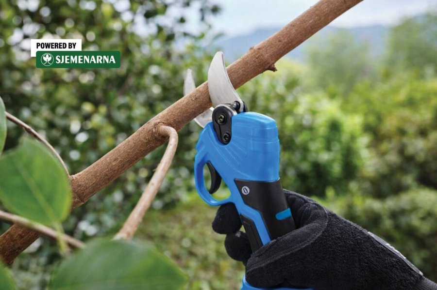Primjena aku škara i pila u rezidbi voćaka i vinove loze