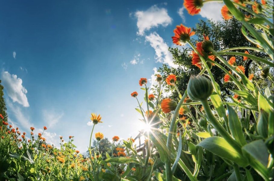 Kako iskoristiti produženi vikend?