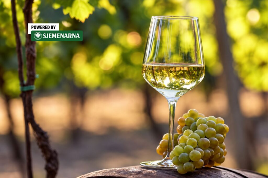 Vino je ostalo slatko, što uraditi? Vino je ostalo slatko, što uraditi?